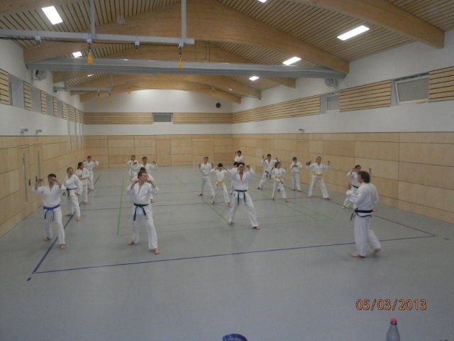 Taekwondo Training